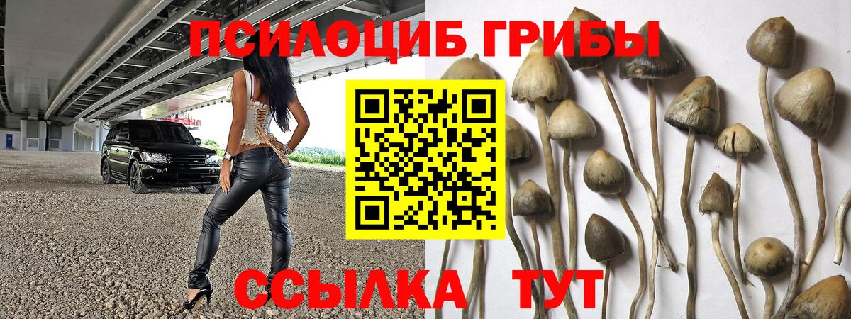 Феодосия  Псилоцибиновые грибы Psilocybe  Вход с VPN 